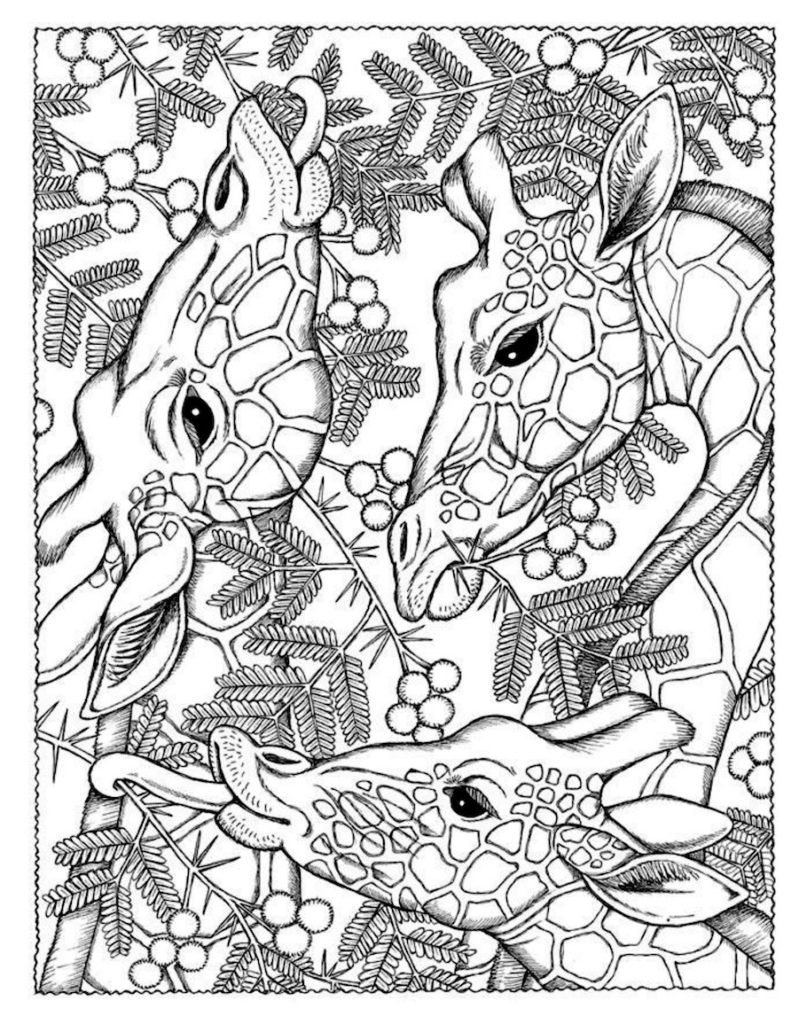 10 Fun Animal Doodle Coloring Pages for All Ages