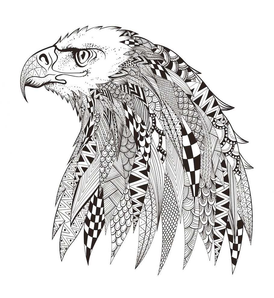 american eagle doodle - American Eagle Doodle