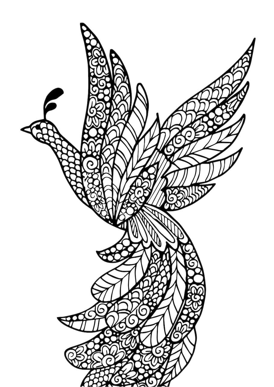 beautiful bird doodle 2 1 - Beautiful Bird Doodle (2)
