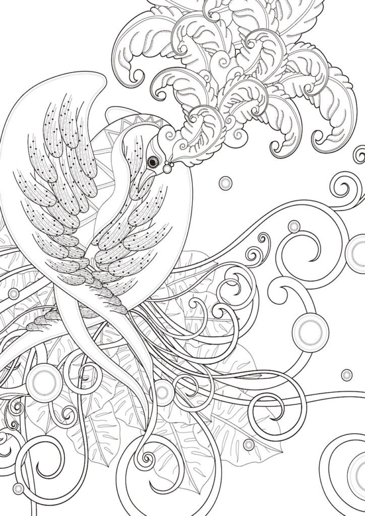 Animal Doodles Doodle Coloring Pages