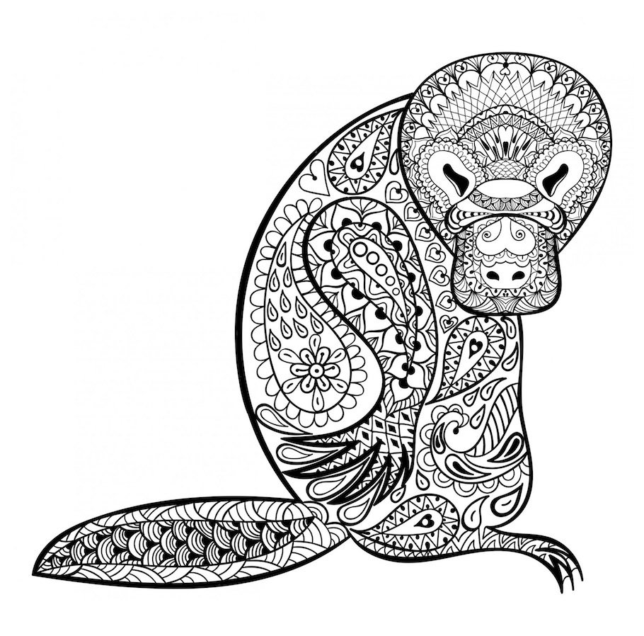beaver doodle - Beaver Doodle