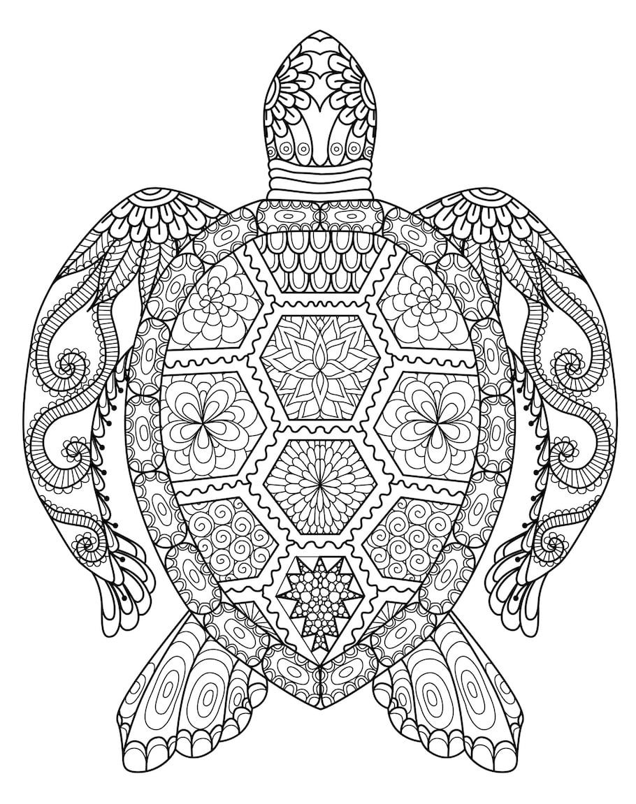 big turtle doodle - Big Turtle Doodle