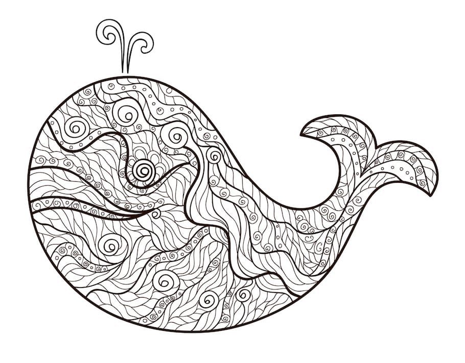 big whale doodle - Big Whale Doodle