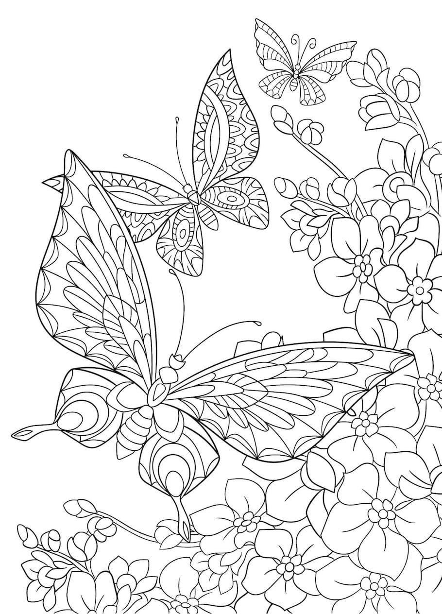 butterflies flowers doodle - Butterflies Flowers Doodle