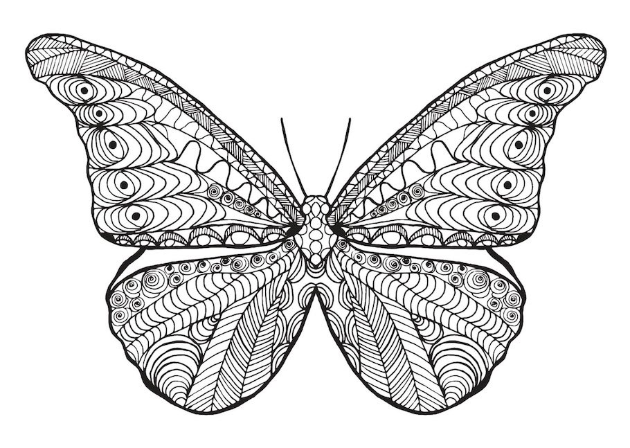 butterfly doodle 5 - Butterfly Doodle (5)