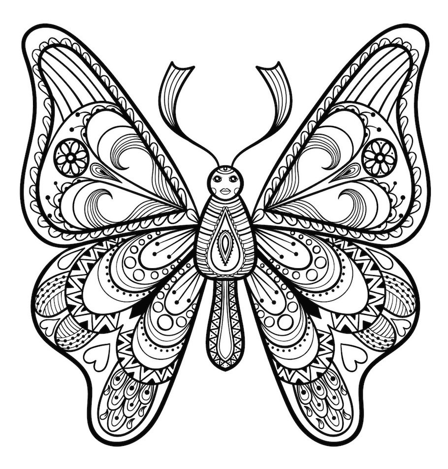 butterfly doodle 7 - Butterfly Doodle (7)