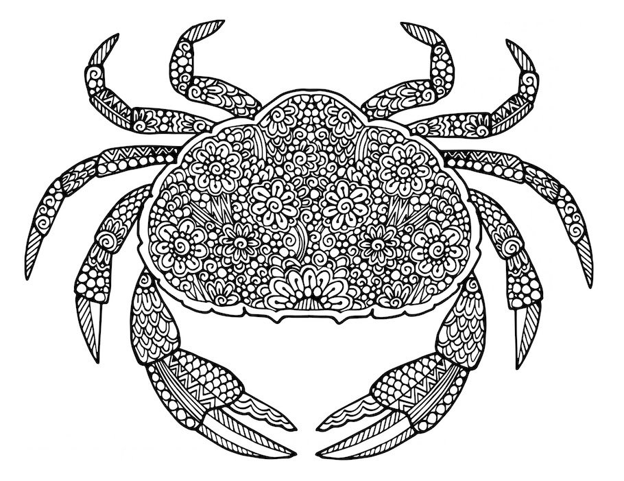 crab doodle - Crab Doodle