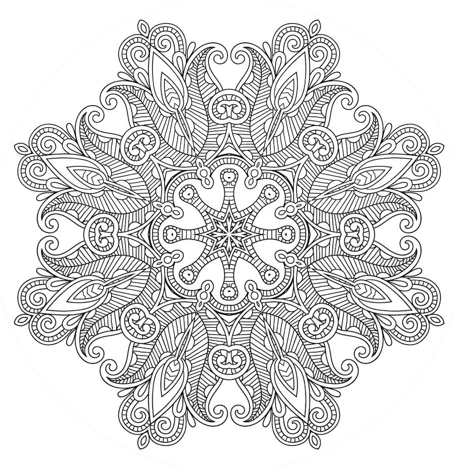 detailed mandala doodle - Detailed Mandala Doodle