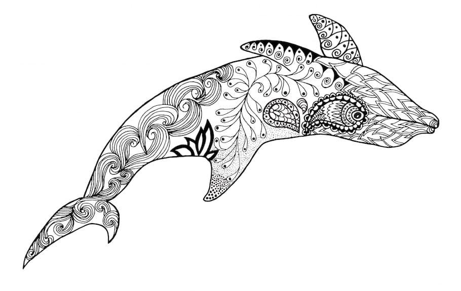 dolphin doodle - Dolphin doodle