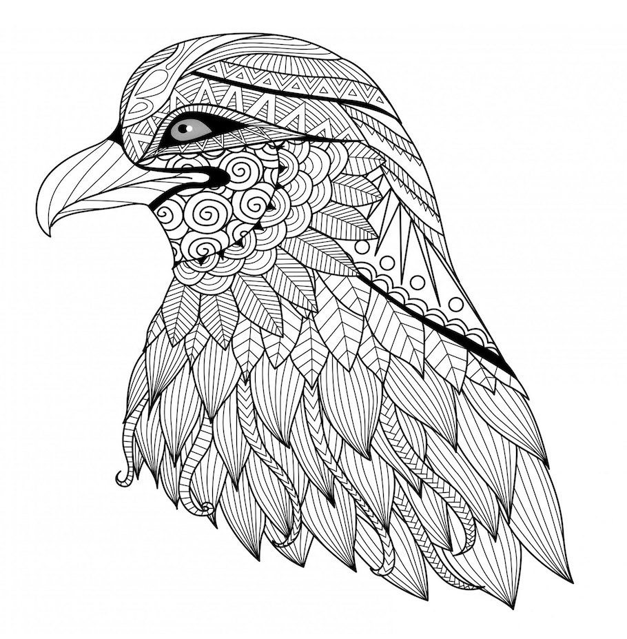 eagle head doodle - Eagle Head Doodle