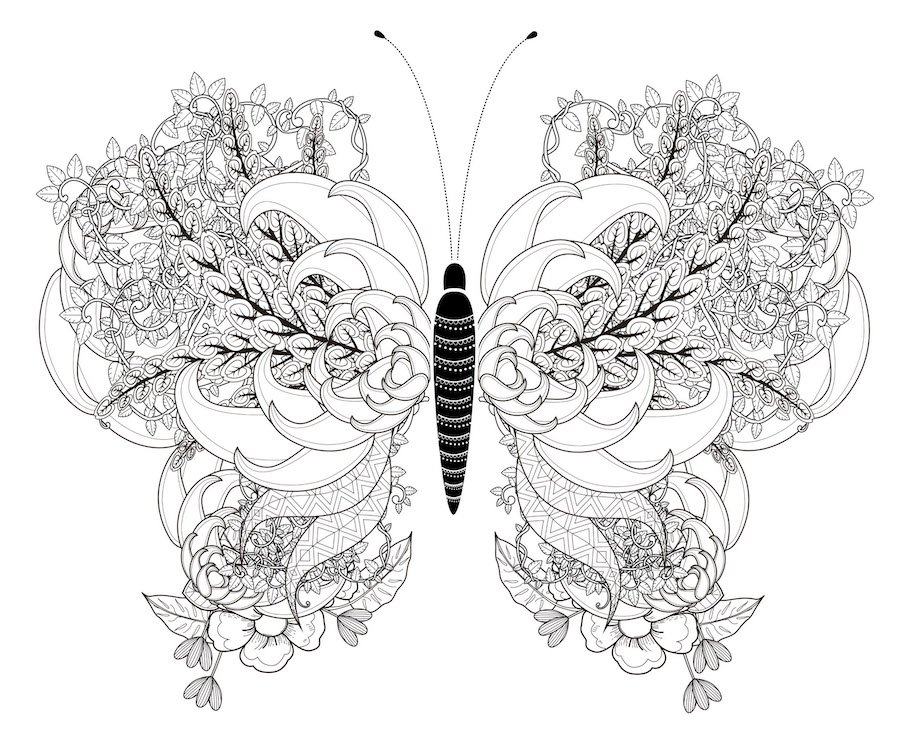 floral butterfly doodle - Floral Butterfly Doodle