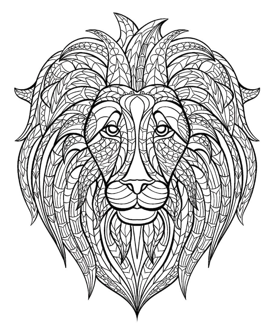 lion head doodle 1 - Lion Head Doodle (1)