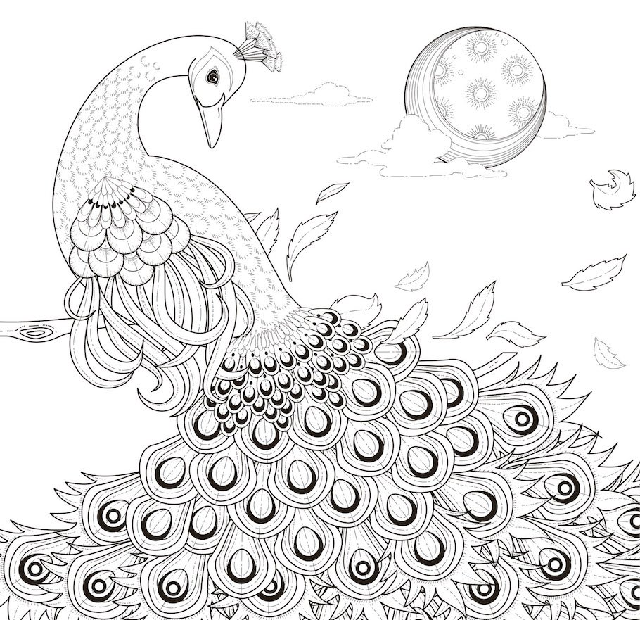 mystical peacock doodle - Mystical Peacock Doodle