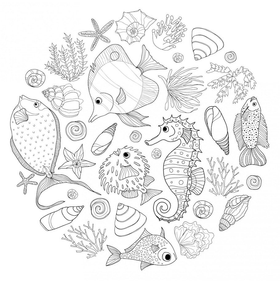 sea animals doodle - Sea Animals Doodle