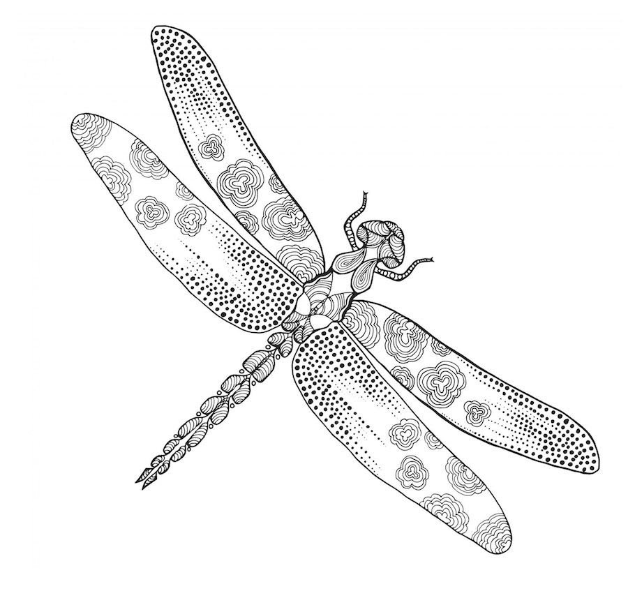 dragonfly doodle 2 - Dragonfly Doodle Art