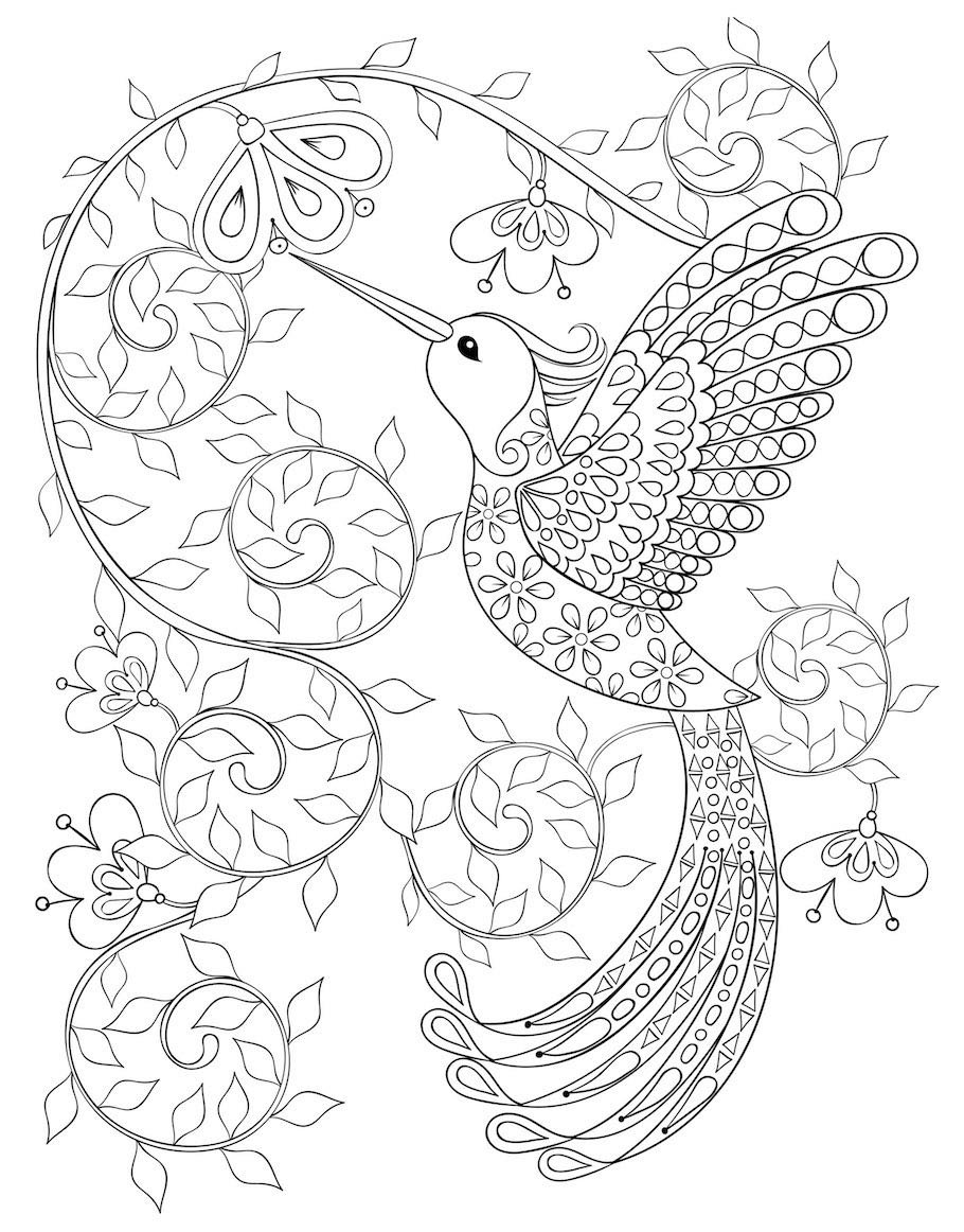 hummingbird doodle 2 - HummingBird And Flowers
