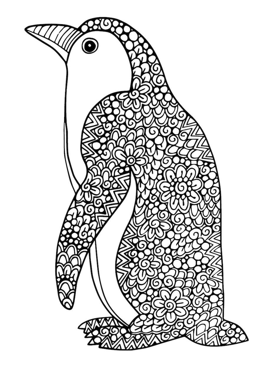 penguin doodle 2 - Penguin Doodle