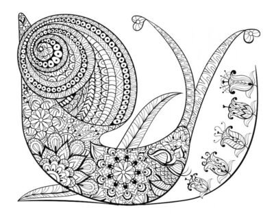 snail doodle 1 400x317 - Snail Doodle