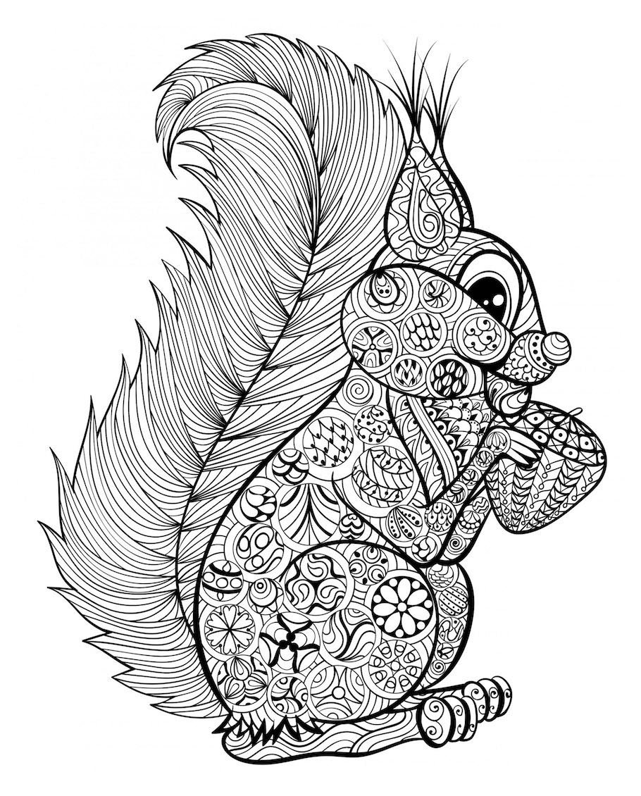 squirrel doodle - Squirrel Doodle Art