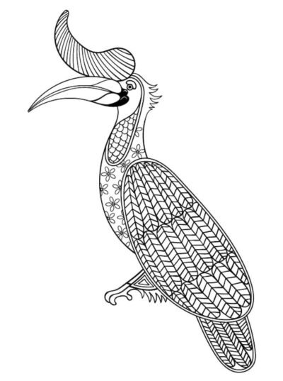 tropical bird doodle 400x537 - Tropical Bird